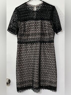 J. Crew Eyelet Daisy Lace Dress